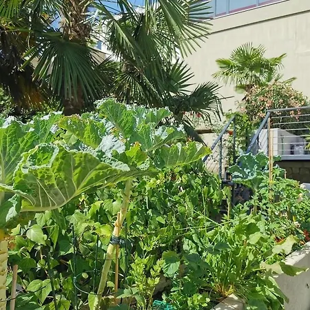 Loft With Rooftop Garden Terrace By The Nyaraló Abbázia
