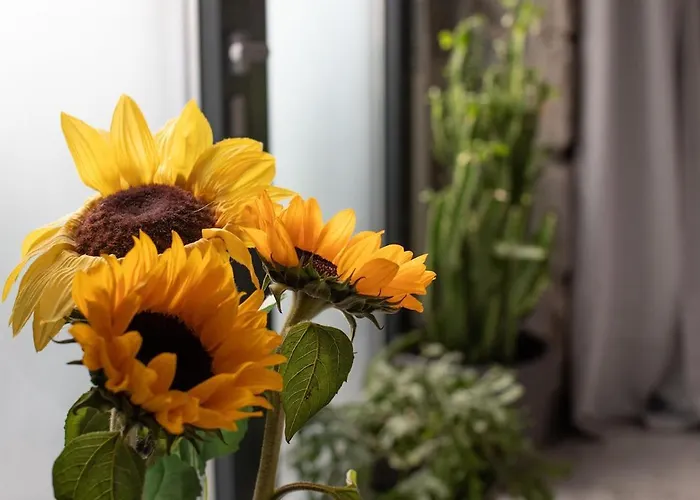 Loft With Rooftop Garden Terrace By The * Opatija