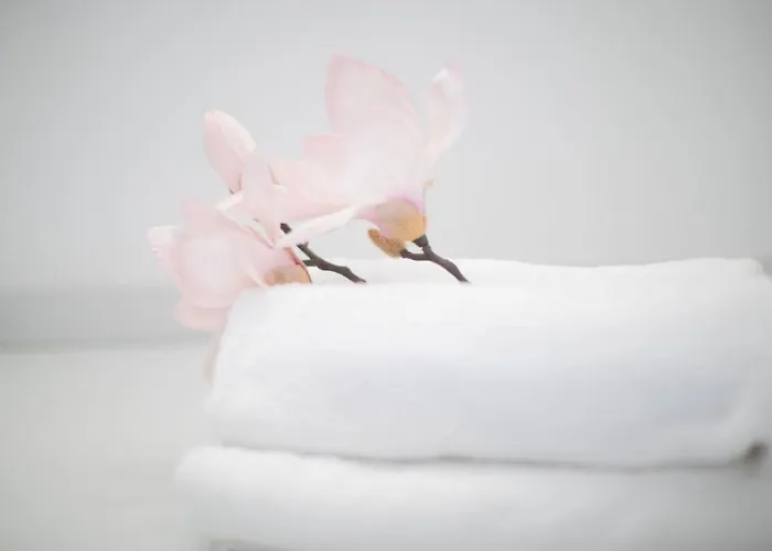 Loft With Rooftop Garden Terrace By The