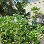 Loft With Rooftop Garden Terrace By The בית נופש אופטיה