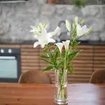Loft With Rooftop Garden Terrace By The אופטיה