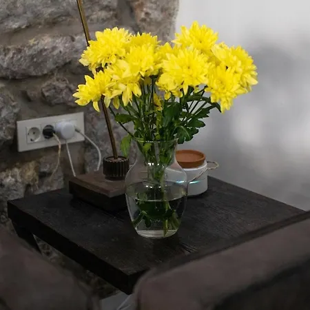 Loft With Rooftop Garden Terrace By The *