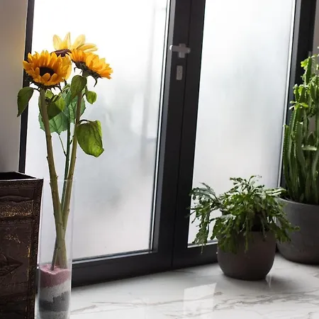 בית נופש Rooftop Garden Oasis By The Artspace אופטיה