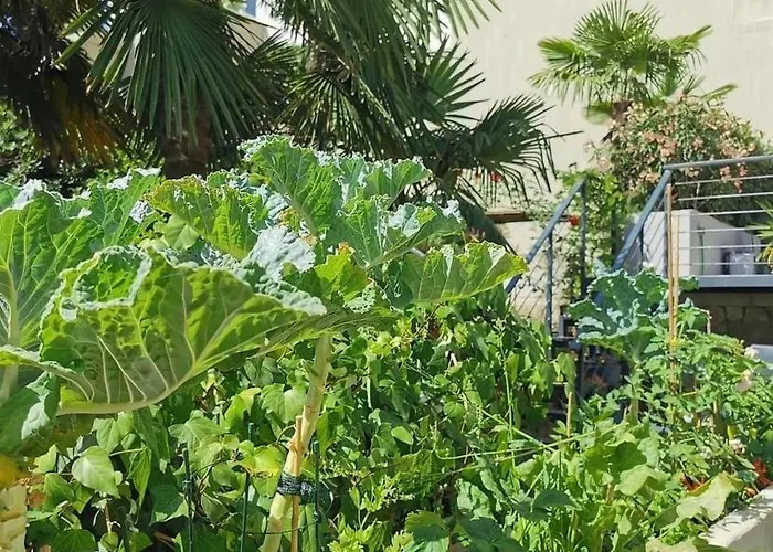 Loft With Rooftop Garden Terrace By The Holiday home Opatija