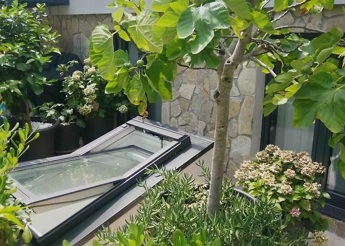 Loft With Rooftop Garden Terrace By The *