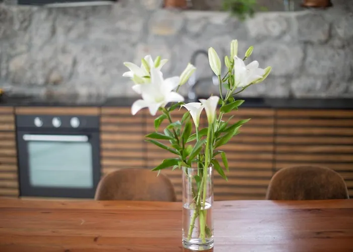 Loft With Rooftop Garden Terrace By The Opatija