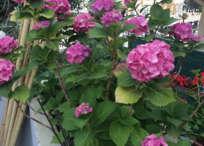 Loft With Rooftop Garden Terrace By The 奥帕提亚